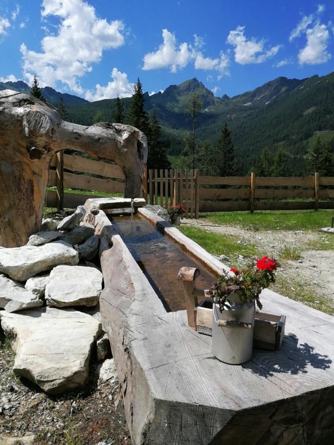 Ampferkaralm Huette Villa Forstau  Buitenkant foto