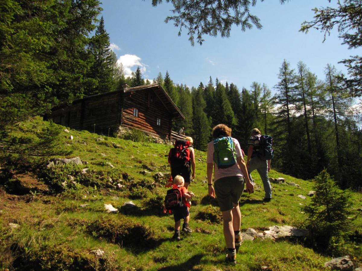 Ampferkaralm Huette Villa Forstau  Buitenkant foto